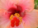 SAM_5934