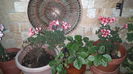 20150611_211117