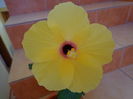 DSC08305