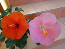 DSC08302
