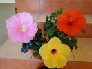 DSC08308