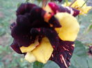 DSC08353