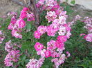 DSC08357