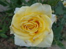 DSC08366