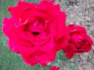 DSC08367