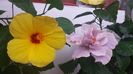 20150612_164352