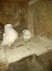 IMG_20150612_203047