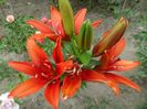 SAM_8148