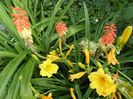 SAM_8182
