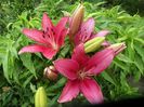 SAM_8351