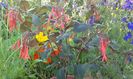 20150613_080441