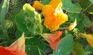 20150613_075855