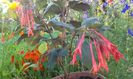 20150613_080420