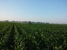 20150613_065252