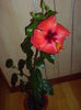 DSC00259