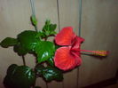 DSC00261