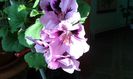20150613_075720