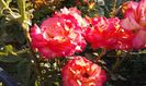 20150613_080037