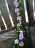 SAM_5959