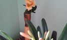 20150613_075709