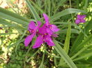 DSCF3989