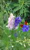 20150613_205537