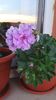 20150613_203635