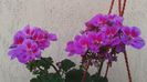 20150613_204810