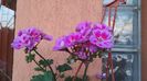 20150613_204828