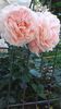 20150613_204325