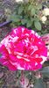20150613_204953