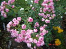DSC00099