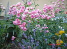 DSC00100