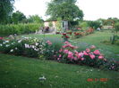 DSC00104