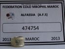 alfassia maroc 2013