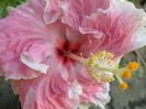 SAM_6016