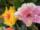SAM_6026