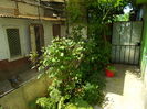 DSCN0518
