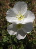 DSCF3970