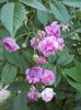 DSC09689