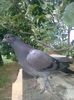 CYMERA_20150614_181701