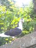 CYMERA_20150614_181959