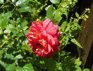 Christopher Marlowe