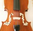 Viola - Iubesc orice instrument cu corzi !!