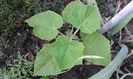 20150614_184529