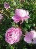 20150614_082959
