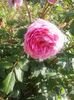 20150614_082945