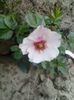 20150614_171302