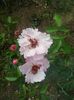 20150614_171403