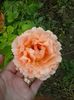 20150611_195537